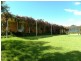 30 Kellys Road, Young NSW 2594