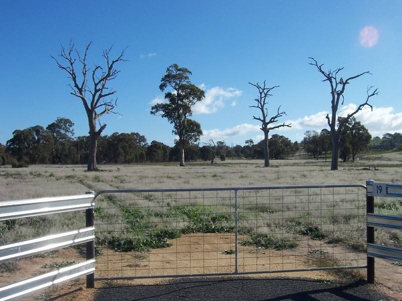 Young NSW 2594