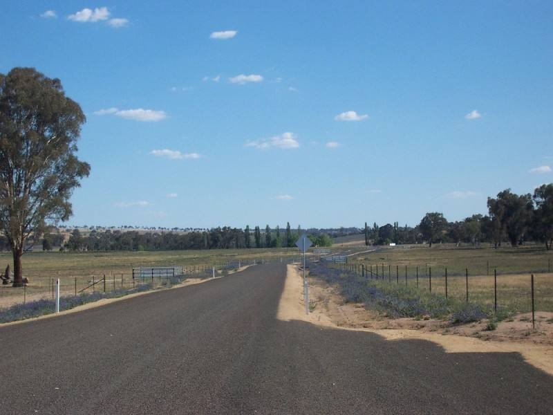 Young NSW 2594