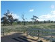 Young NSW 2594