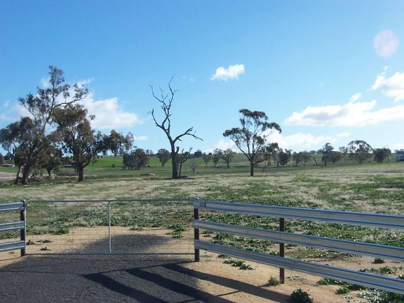 Young NSW 2594