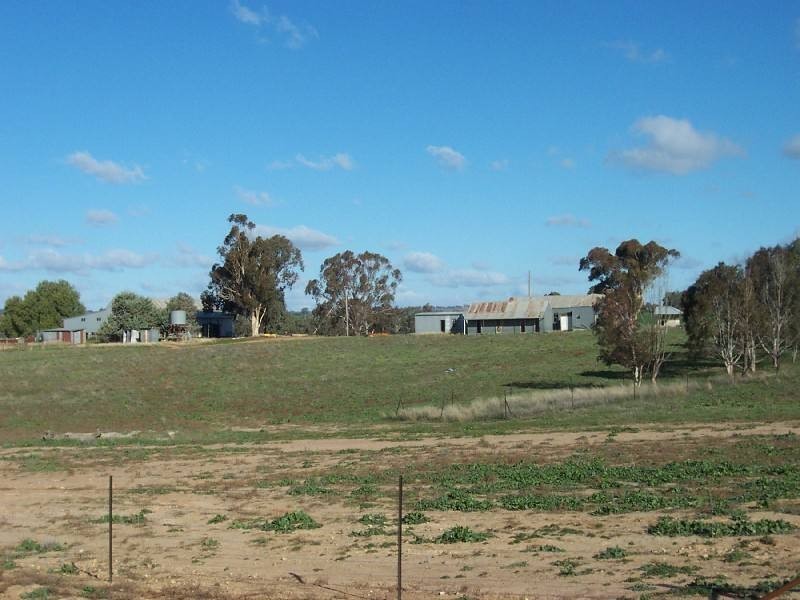 Young NSW 2594