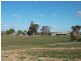 Young NSW 2594