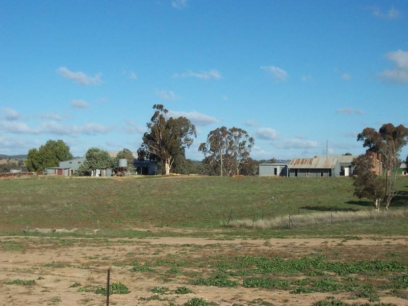Young NSW 2594