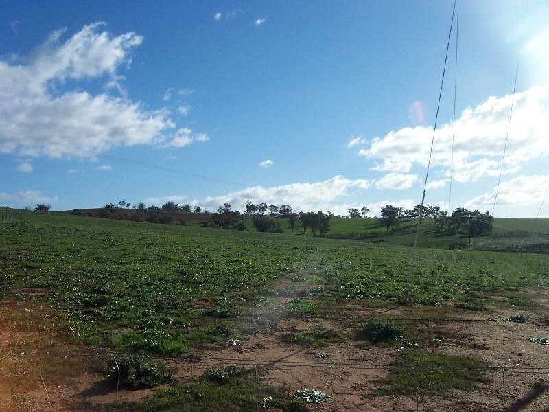 Young NSW 2594