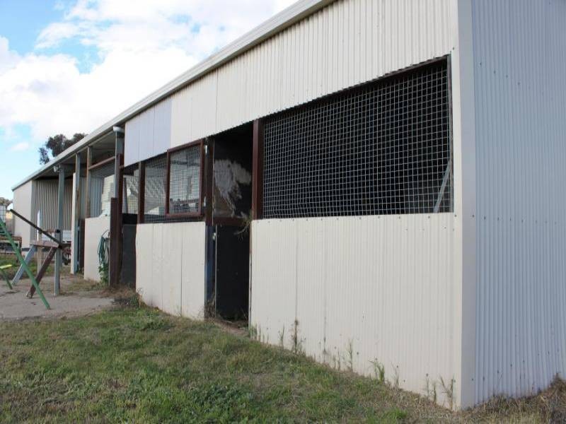 31 Commons Road, Young NSW 2594