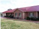 31 Commons Road, Young NSW 2594