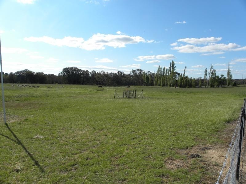 594 Olympic Way North, Young NSW 2594