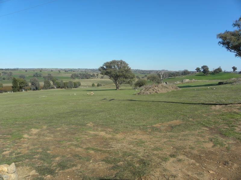 470 Chillingworks Road, Young NSW 2594