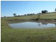 470 Chillingworks Road, Young NSW 2594