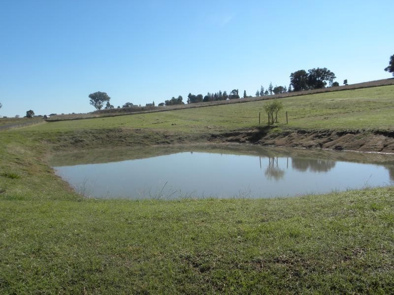 470 Chillingworks Road, Young NSW 2594
