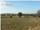 2700 Tubbul Road, Young NSW 2594