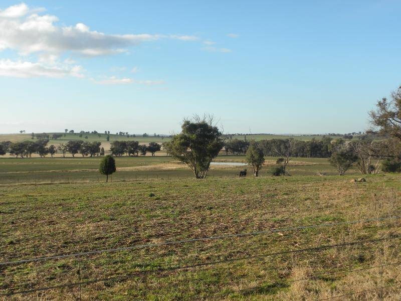 2700 Tubbul Road, Young NSW 2594