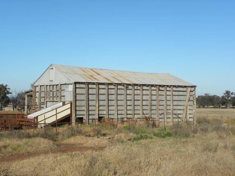 2700 Tubbul Road, Young NSW 2594