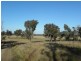 2700 Tubbul Road, Young NSW 2594