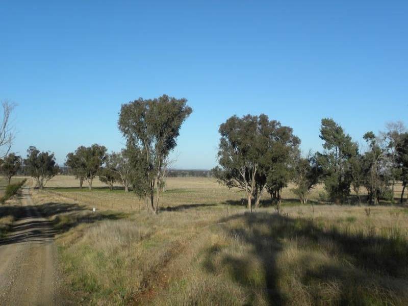 2700 Tubbul Road, Young NSW 2594