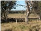 2700 Tubbul Road, Young NSW 2594