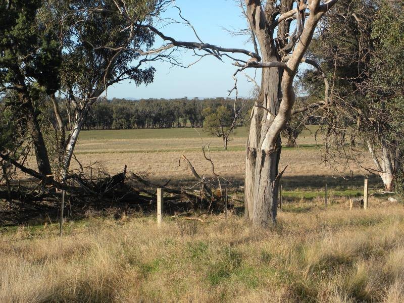 2700 Tubbul Road, Young NSW 2594