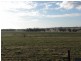 2700 Tubbul Road, Young NSW 2594