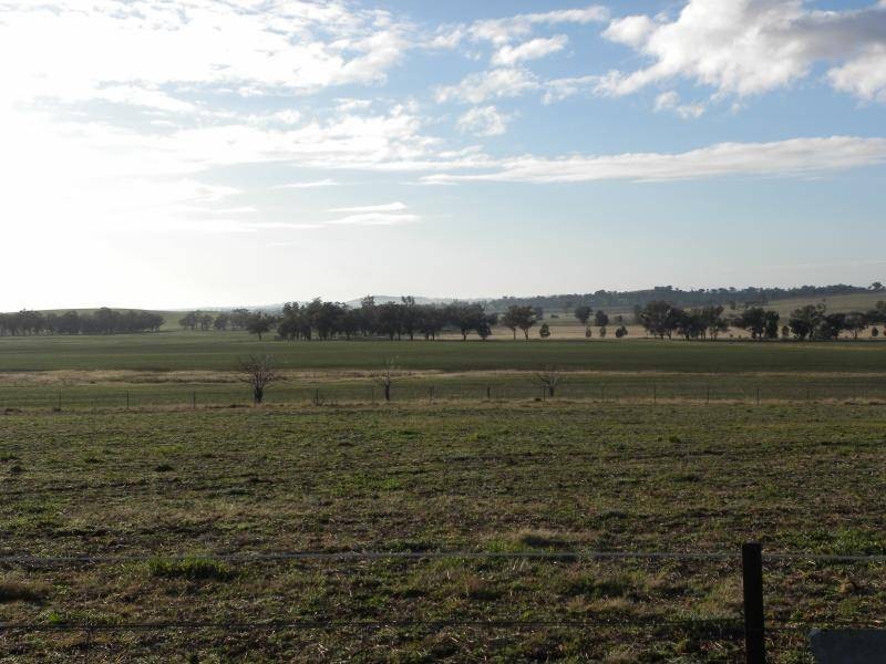 2700 Tubbul Road, Young NSW 2594
