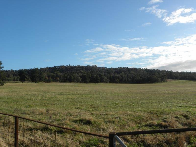 2700 Tubbul Road, Young NSW 2594