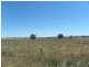Tyagong Hall Road, Young NSW 2594