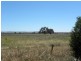 Tyagong Hall Road, Young NSW 2594
