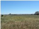 Tyagong Hall Road, Young NSW 2594
