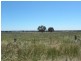 Tyagong Hall Road, Young NSW 2594