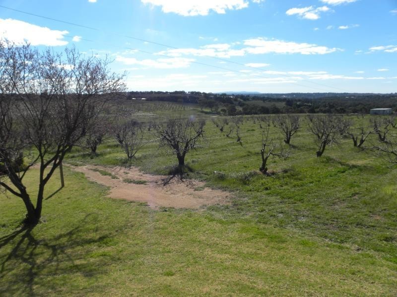 112 Kelly’s Road, Young NSW 2594