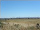 Tyagong Hall Road, Young NSW 2594