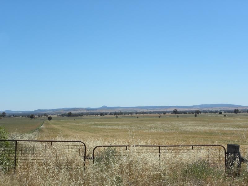 Tyagong Hall Road, Young NSW 2594