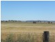 Tyagong Hall Road, Young NSW 2594