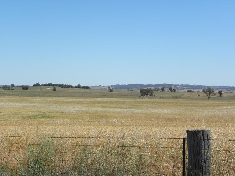 Tyagong Hall Road, Young NSW 2594