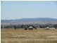 Tyagong Hall Road, Young NSW 2594