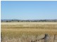 Tyagong Hall Road, Young NSW 2594