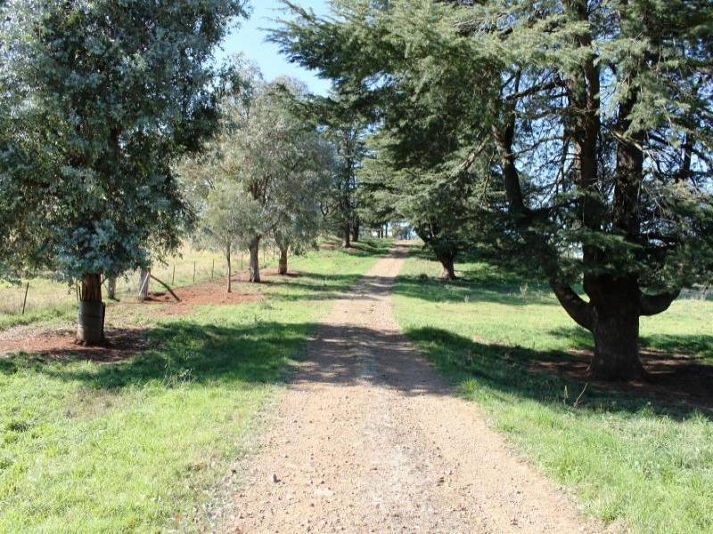 Old Gundagai Road, Cootamundra NSW 2590