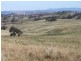 Old Gundagai Road, Cootamundra NSW 2590