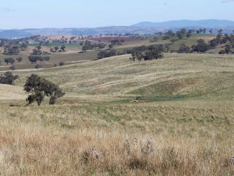 Old Gundagai Road, Cootamundra NSW 2590