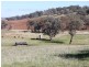 Old Gundagai Road, Cootamundra NSW 2590