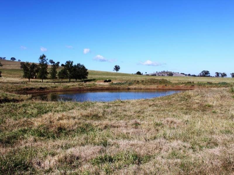 Old Gundagai Road, Cootamundra NSW 2590