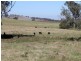 Old Gundagai Road, Cootamundra NSW 2590