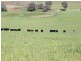 Old Gundagai Road, Cootamundra NSW 2590
