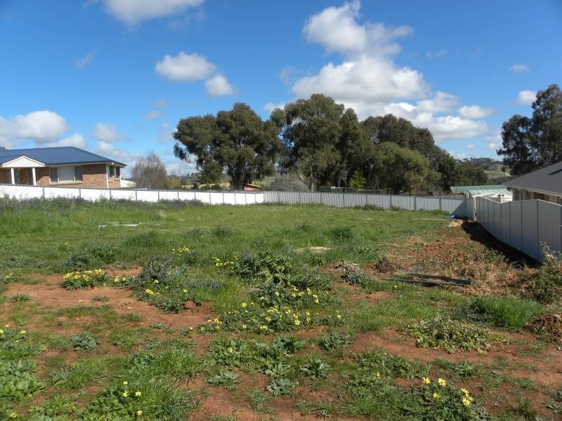 21 Settlers Place, Young NSW 2594