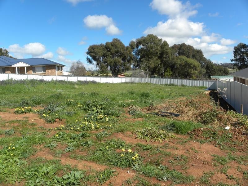 21 Settlers Place, Young NSW 2594