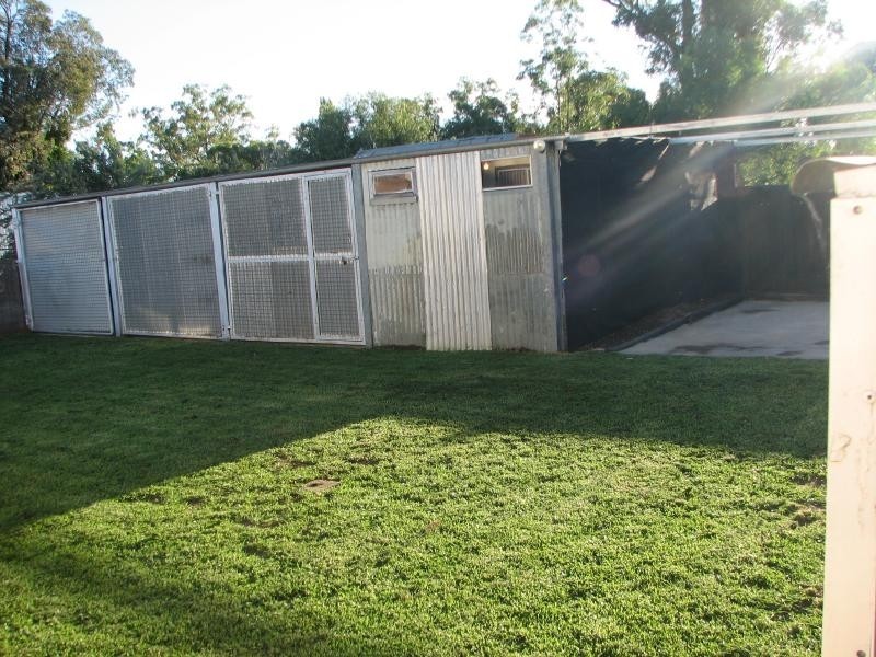 29 Lachlan Street, Young NSW 2594