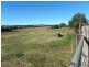 2288 Kingsvale Road, Young NSW 2594