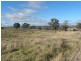 440 Milvale Road, Young NSW 2594