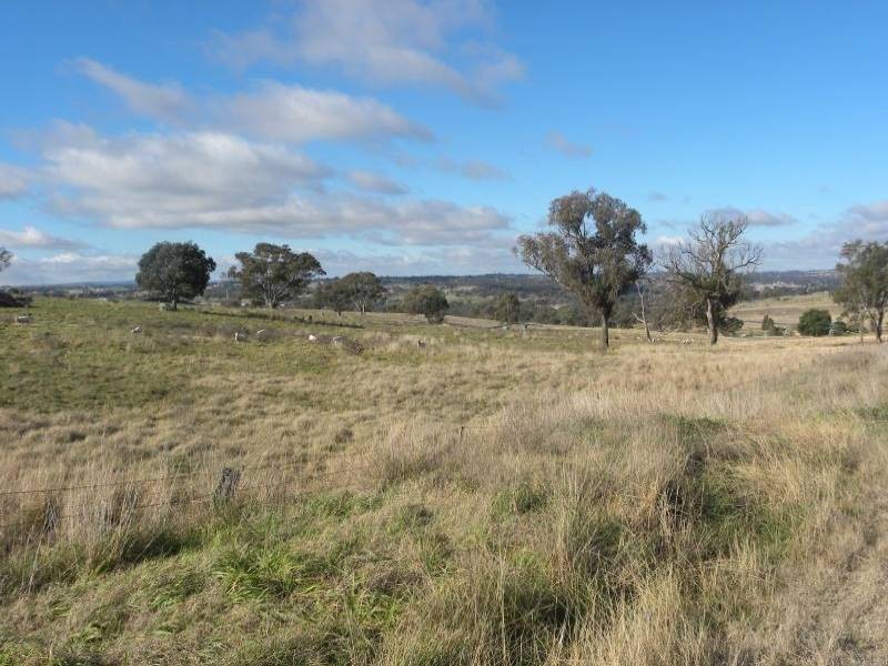 440 Milvale Road, Young NSW 2594