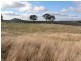 440 Milvale Road, Young NSW 2594